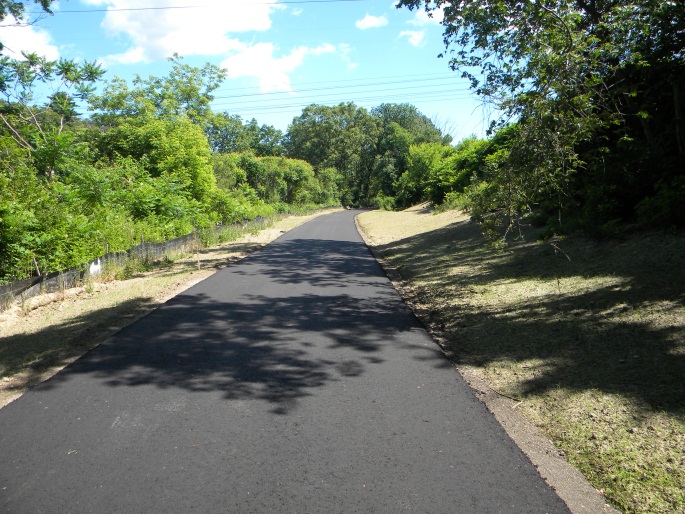 Cochituate Rail Trail- Paved Road