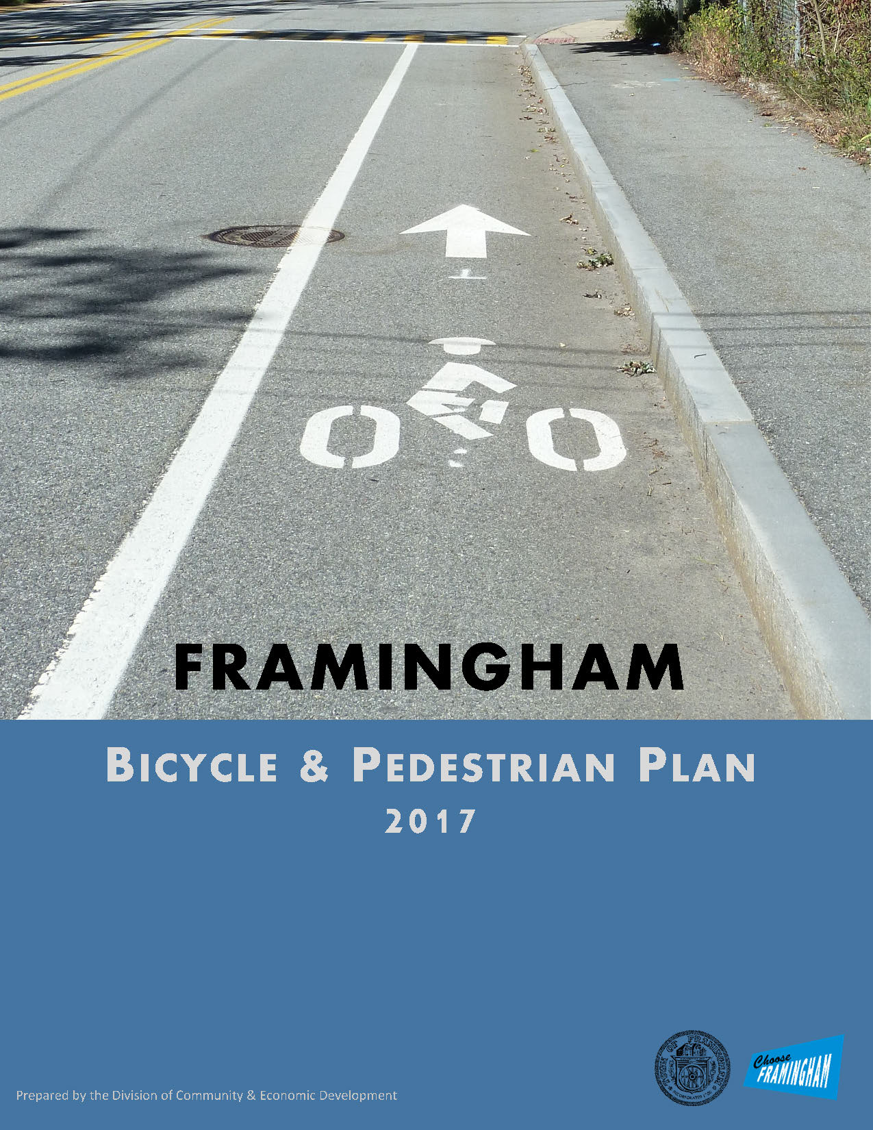 Bicycle and Pedestrian Plan Cover