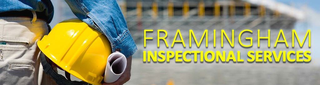 Inspectional Services Banner