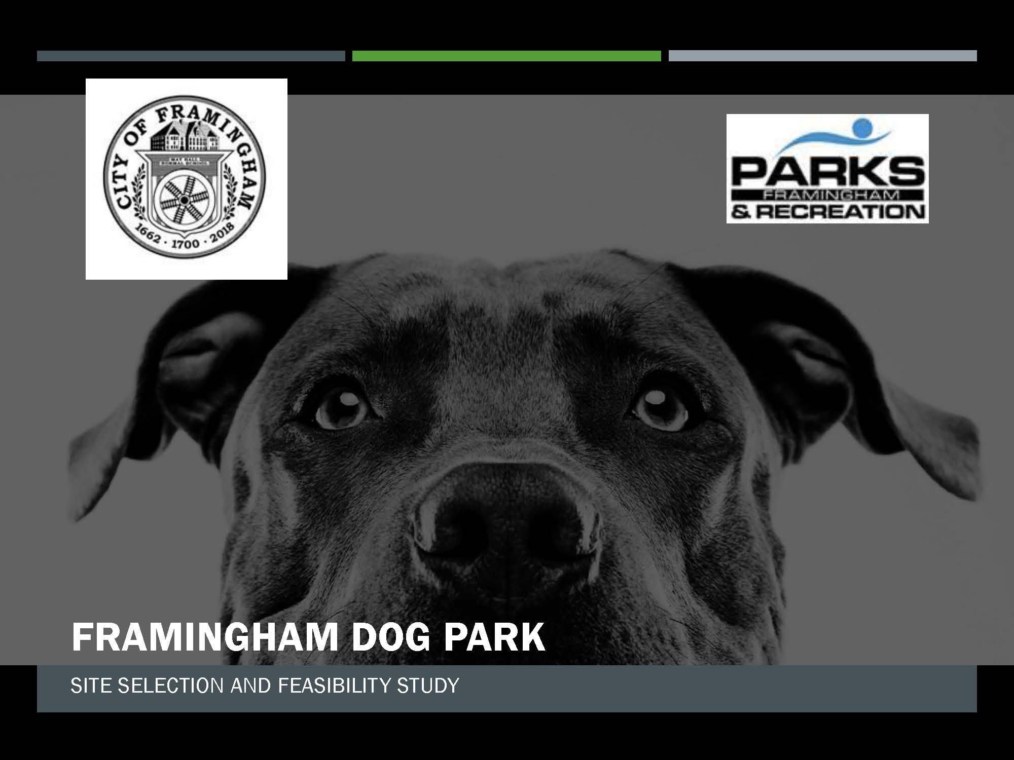 Dog Park Presentation