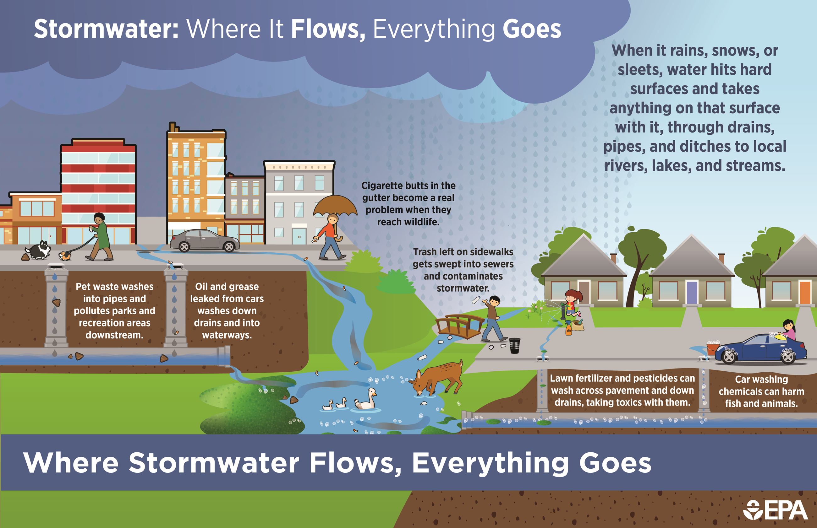 Infographic_Stormwater Flow_September 2022