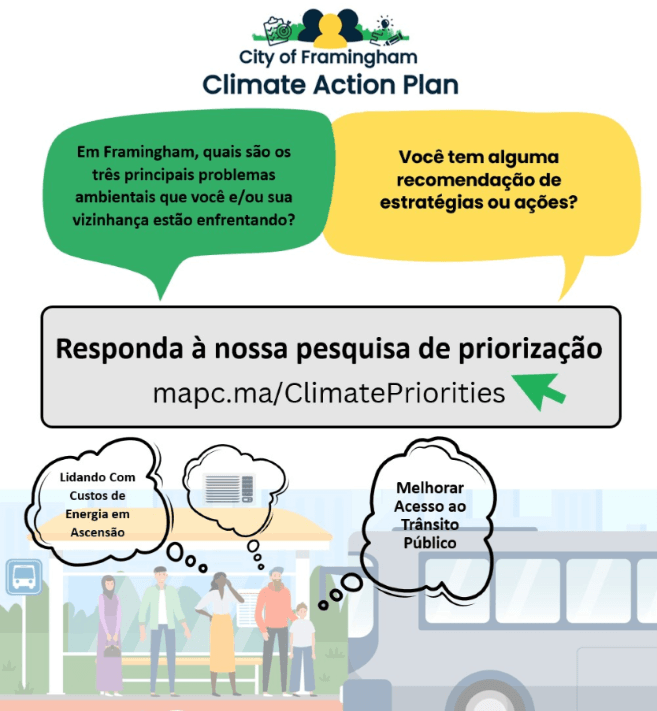 CAP Survey_ Portuguese