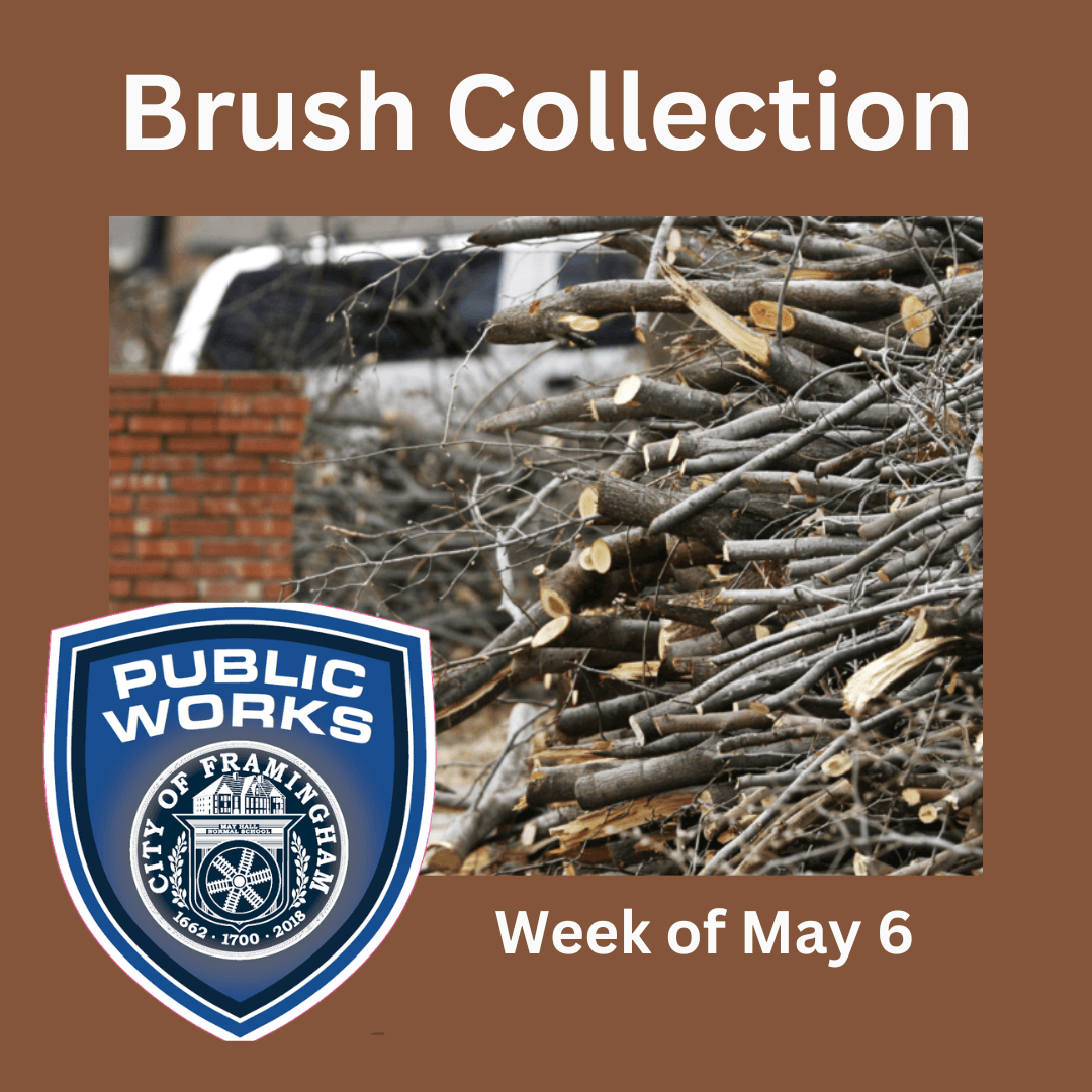 picture of brush with words brush collection week fo May 6 with DPW logo
