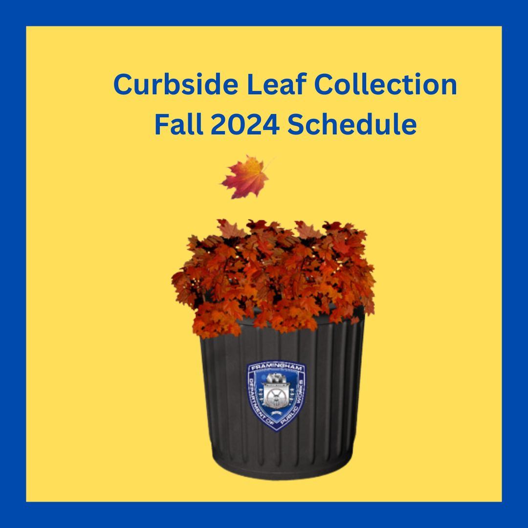 Barrel of red leaves with DPW logo on barrel with the words Framingham DPW Curbside leaves collectio