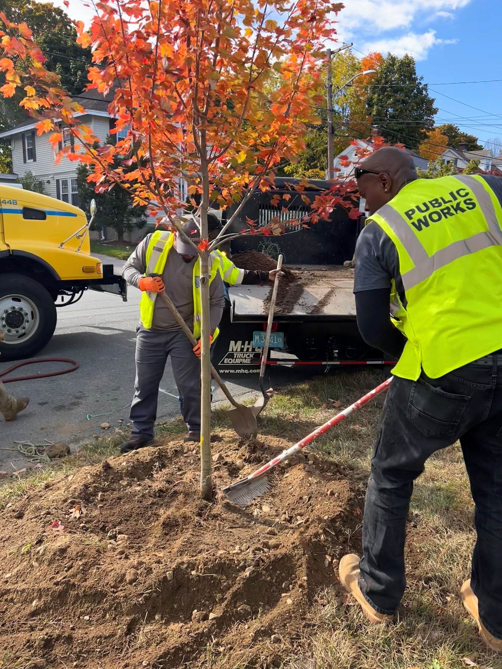 Public Works Employees planting a tree on Lawrence Street 