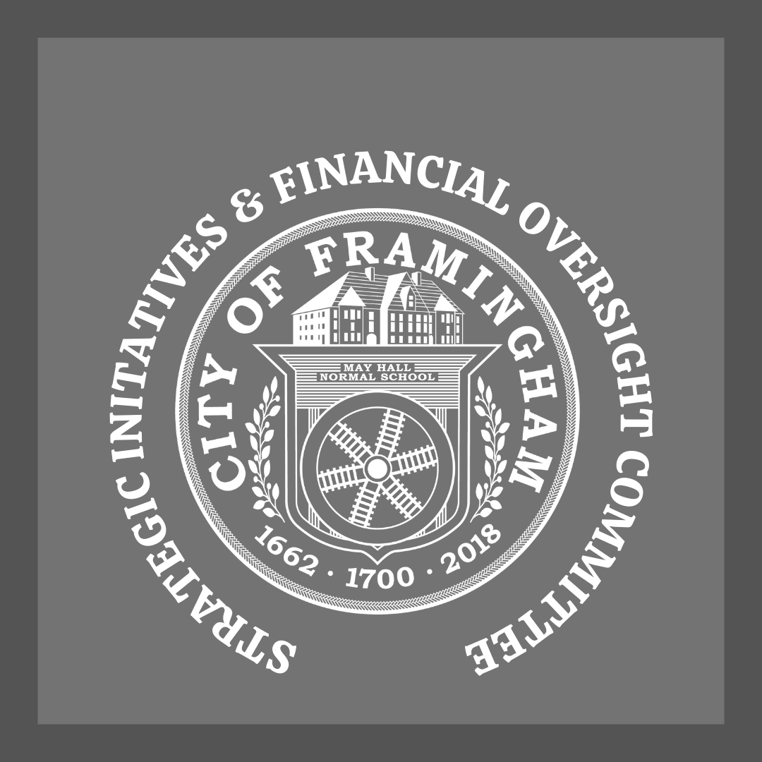 Strategic Initiatives & Financial Oversight (SIFOC) Committee w/ white city seal on grey background