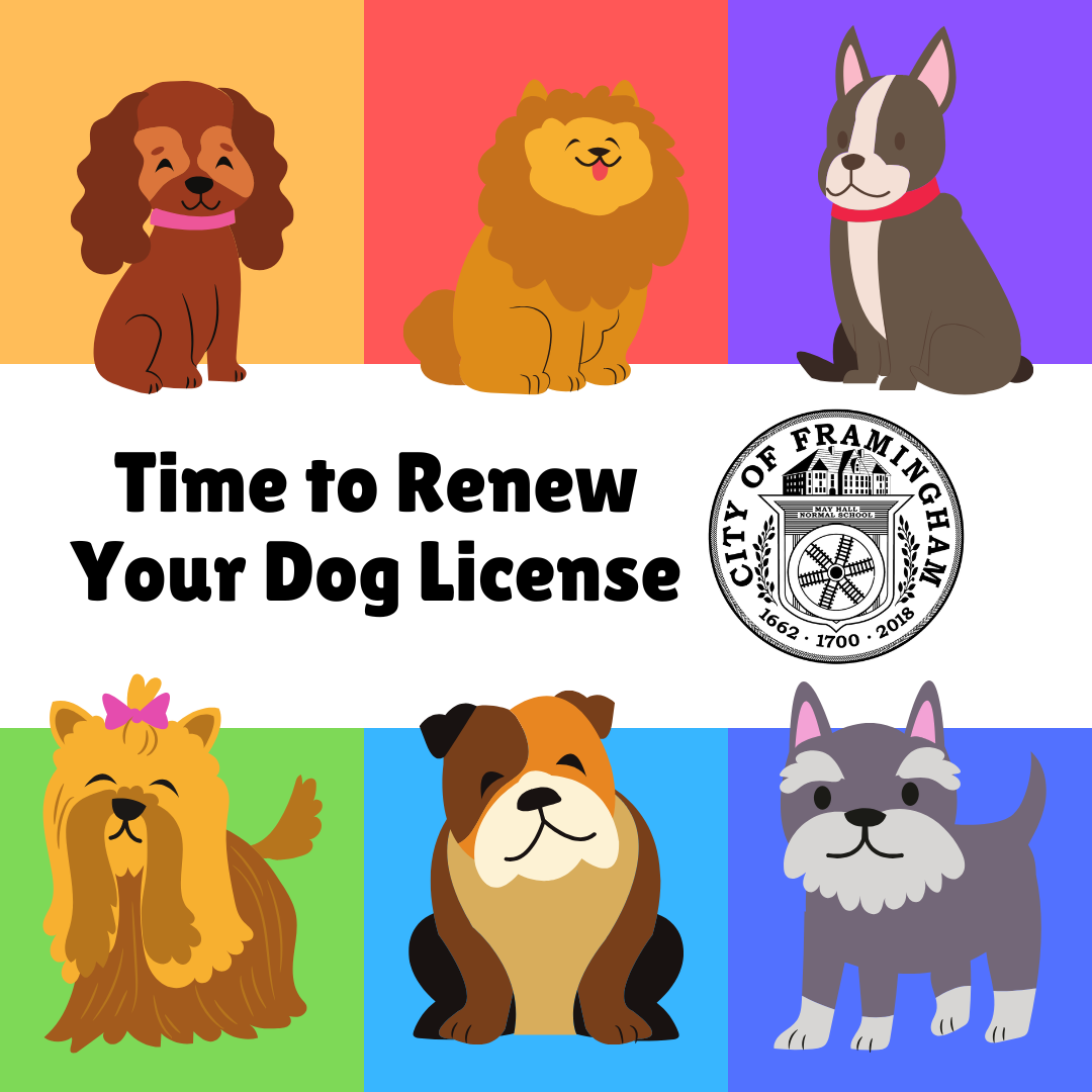 Time to renew your dog license with cartoon images of dogs 2024
