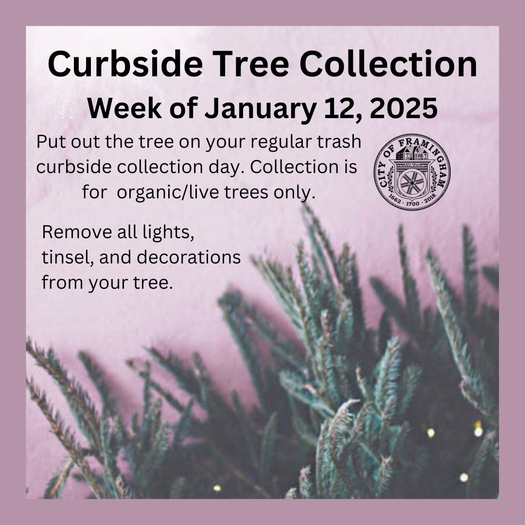 Curbside Live Christmas tree collection week of January 12,2025