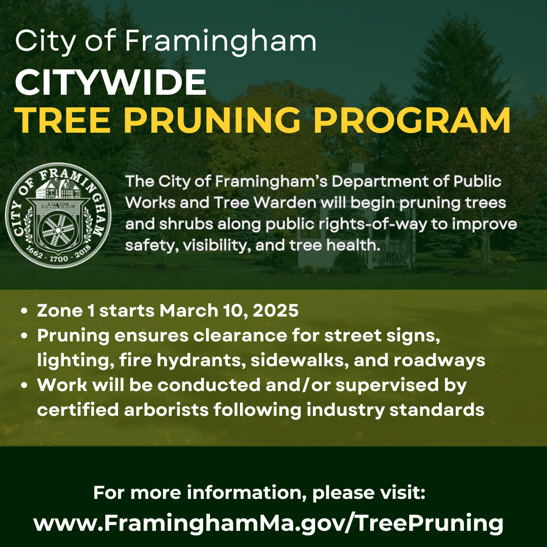 Tree Pruning English