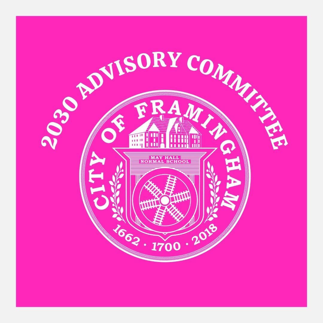 2030 advisory committee 2025 logo