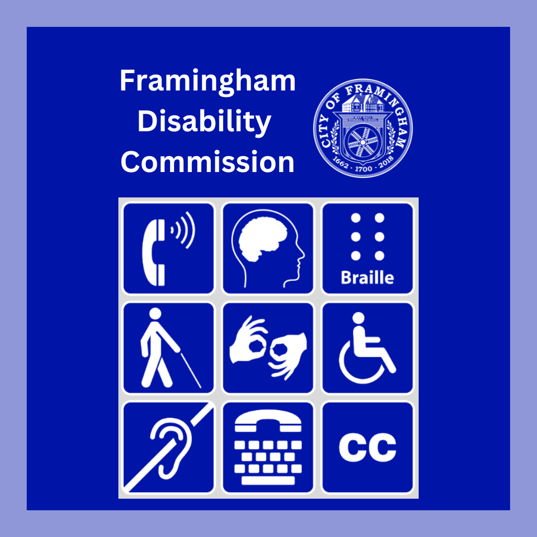 Disability Commission Logo 