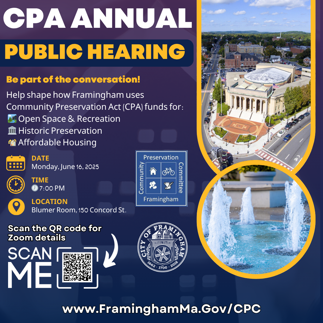 CPA ANNUAL PUBLIC HEARING 