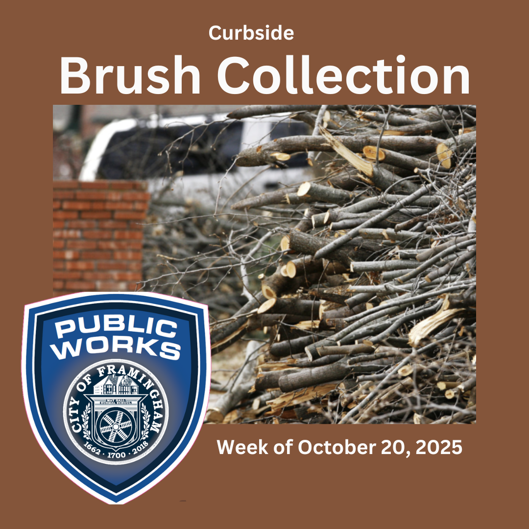 Curbside Brush Collection week of October 20, 2025 with photos of brush and DPW logo