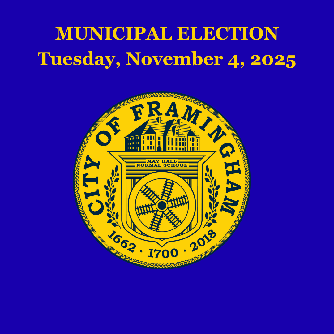 Municipal election 2025 with City seal in yellow