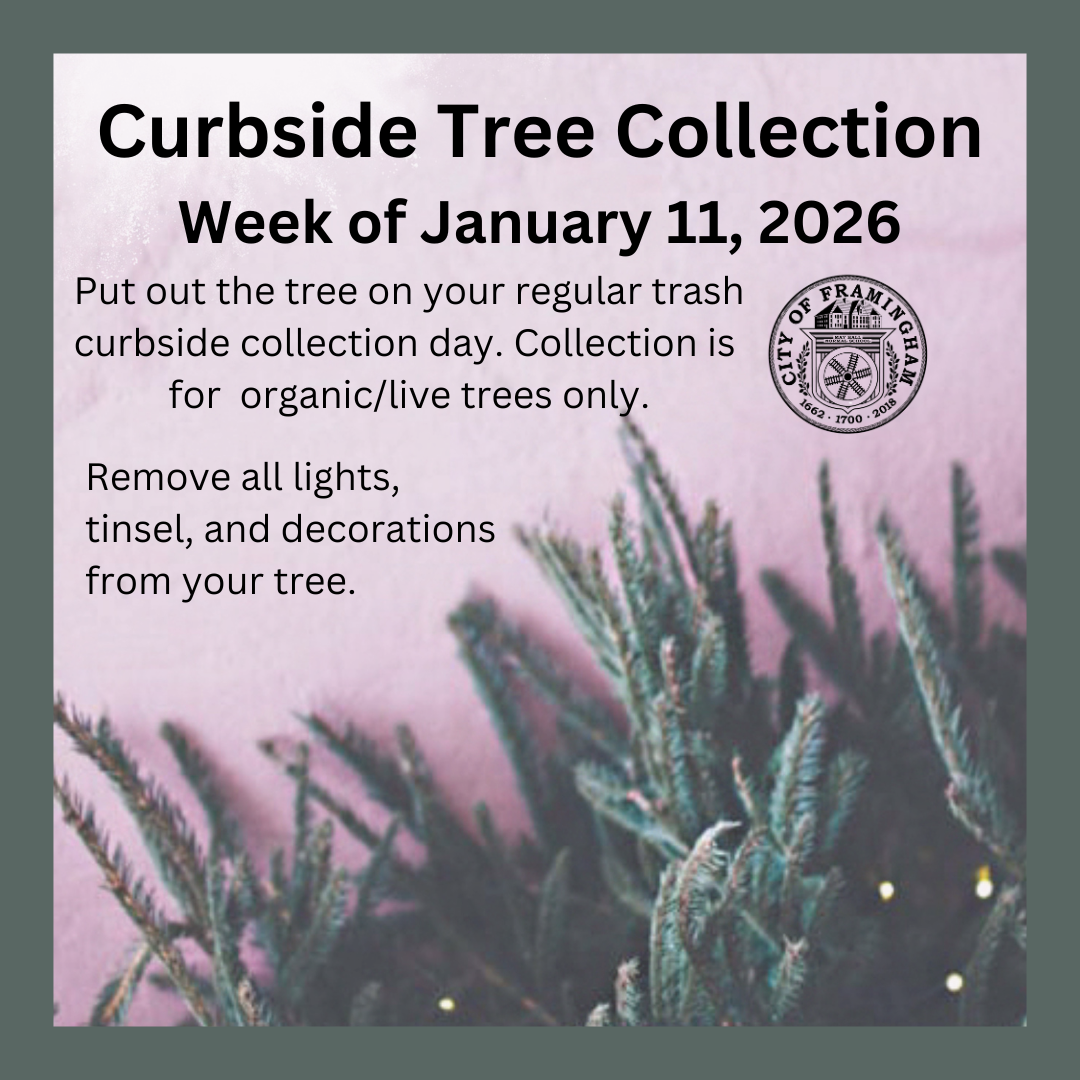 DPW's Curbside tree collection - week of January 11, 2026 