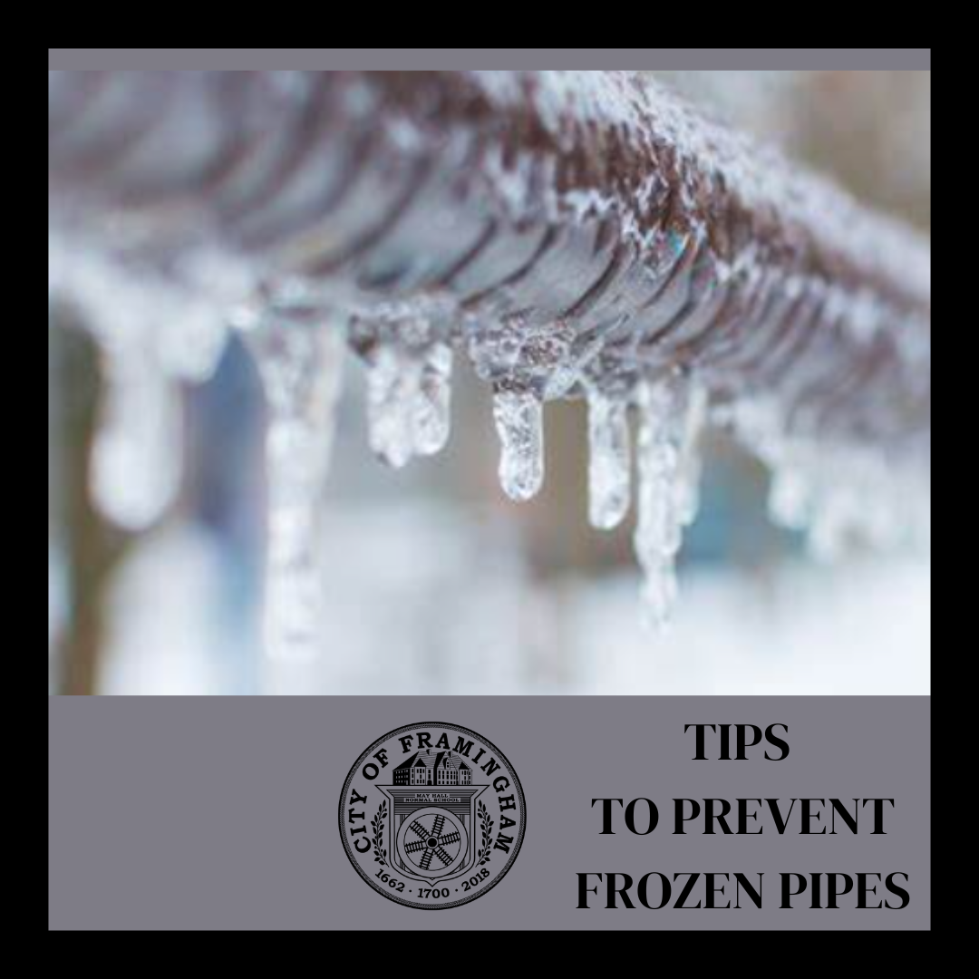 frozen pipes graphic with City Seal