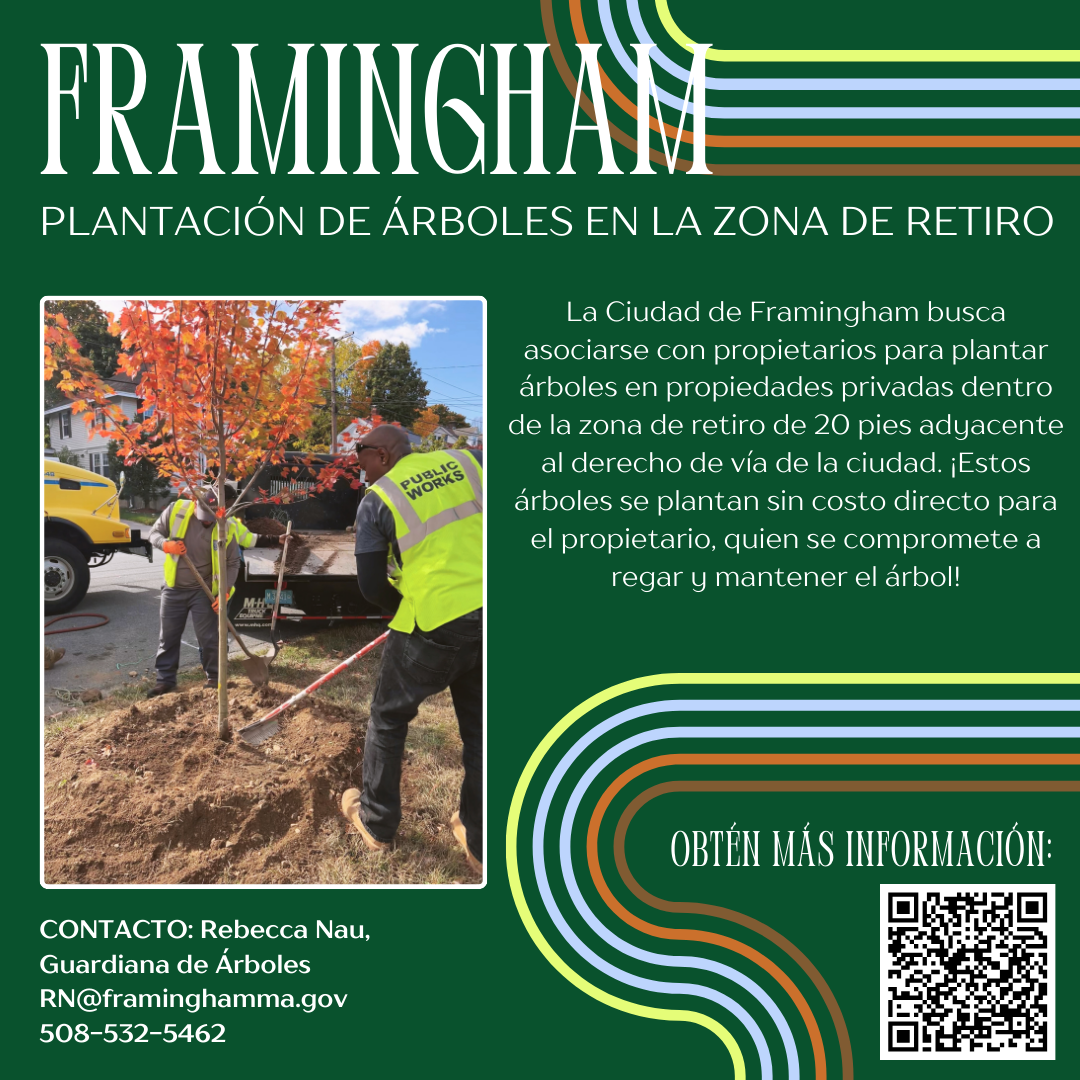 SETBACK TREE PLANTING Spanish