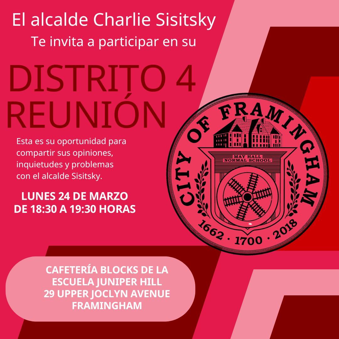 (Spanish)D4.march.2025