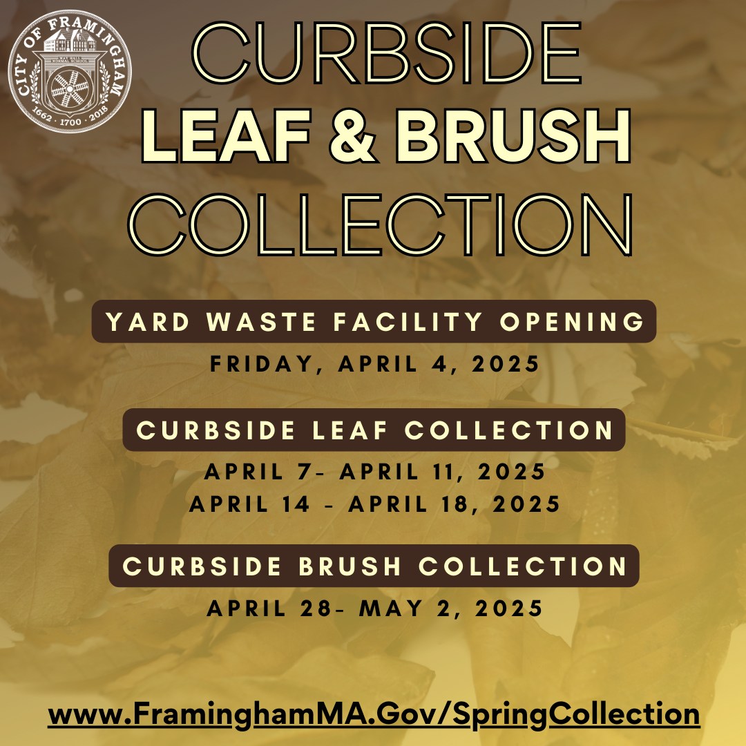 Spring Leaf and Brush Collection EN