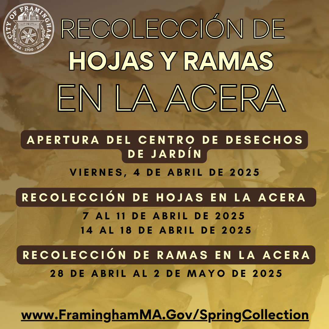 Spring Leaf and Brush Collection SP