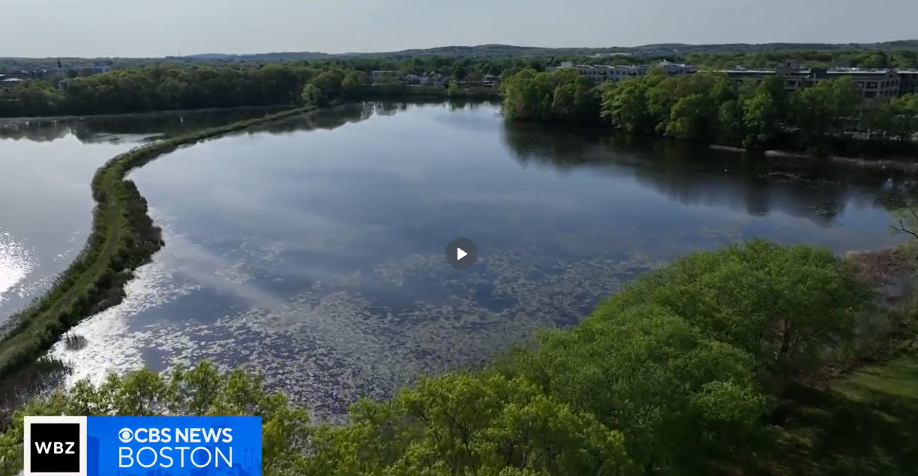 Farm Pond Park Featured on CBS News Boston